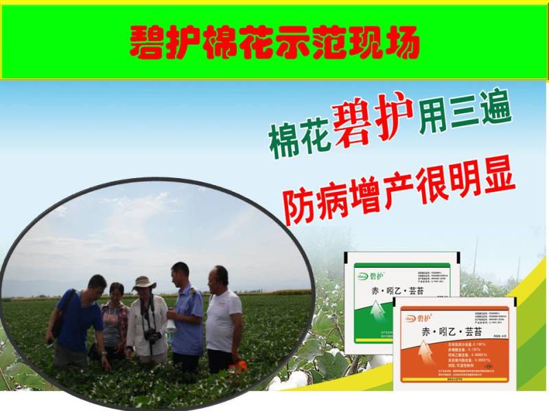 һԒfԒo޻Sή